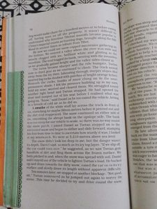 NCERT Hornbill English Class 11