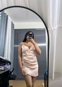 ZARA Pink Beige Mini Dress