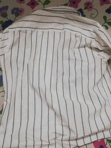 Striped Button-Down Shirt
