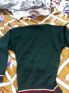 Green V-Neck Sweater