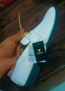 Brand New Invitus Shoes