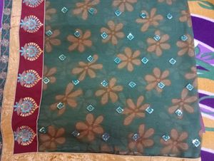 Double Shades Saree With Net Palla