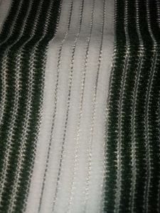 Striped Green Shirt
