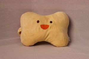 Cute Bone Pillow