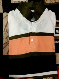 Striped Polo Shirt