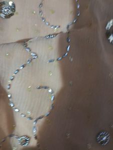 Beautiful Heavy Work Saari With Blouse