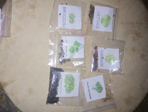 50 Types of Vegetable Plant Seeds