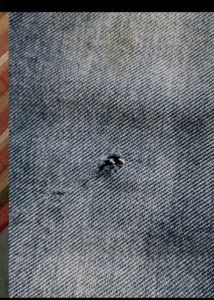 Combo Of 3 Jeans For Mens 💜