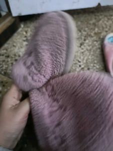 Warm Slippers For Women In 39 Number 5:5