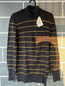 Striped Turtleneck Sweater