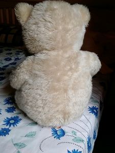 CuteTeddy Bear