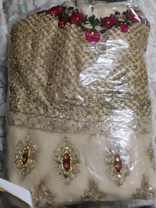 Elegant Pakistani/Indian Wedding Dress
