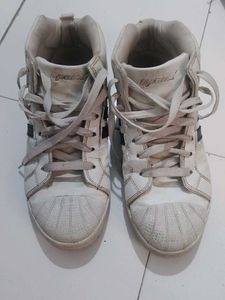 White Sneakers Sparkx Brand Adidas Copy