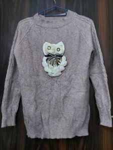 Cute Owl Embellished Sweater