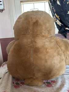 Big Size Teddy