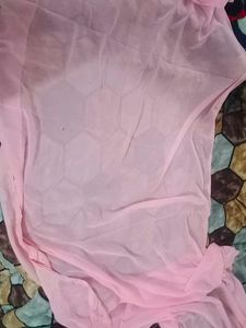 Light Pink Embellished Saree