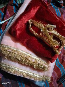 Elegant Velvet &amp; Tissue Saree