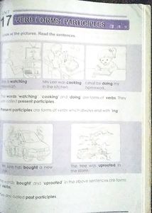 Primary Level Grammar &amp; Usage
