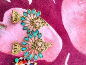 Multi Colour Earrings