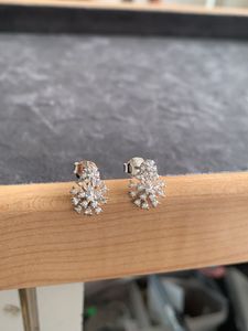 92.5 Pure Silver Earring