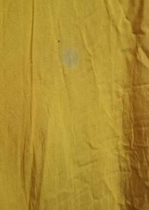 Floral Embroidered Dress