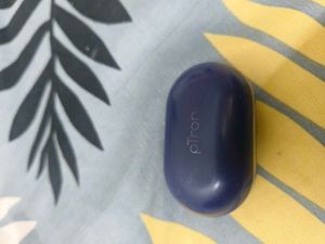 Ptron Earbuds