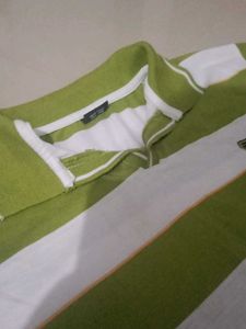 Striped Polo Shirt - Green &amp; White