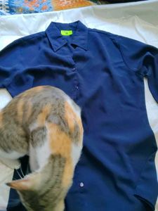Navy Blue Casual Shirt