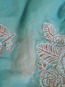 A Beautiful Ethnic Gown.