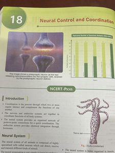 Objective Ncert Punch Biology 6500+ NTA like MCQS