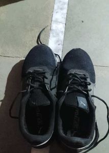Puma Softfoam Running Shoes - Black