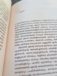 Meera Sadhu By K R Meera