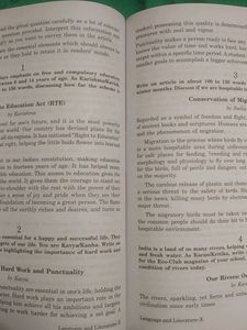 Mento English Language &amp; Literature Class X Guide
