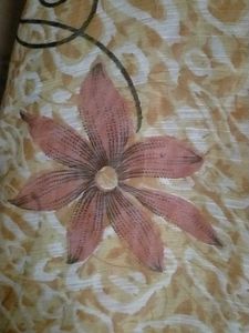Without Blause Saree