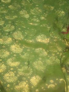 New Pattu