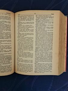 Webster New Dictionary And Thesaurus