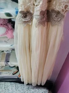 Elegant Ethnic Gown