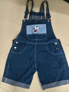 Short Dangri