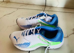 Puma Cricket Shoes -  New