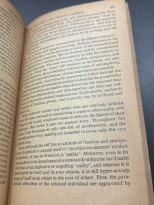 The Divided Self - R. D. Laing