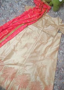Embroidered Lehenga Choli Set