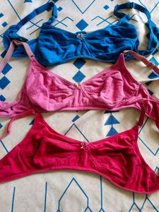 V Star 36 Bra