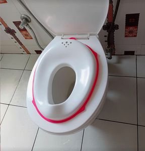 Potty Training Seat-Price Dropped