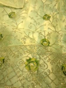Elegant Green Lehenga Choli Set