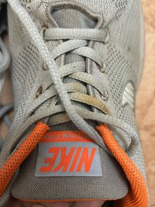 Nike Air Max250