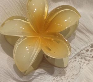 Beautiful Flower Claw Clip🌸😍 Pack Of 5