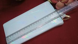 Elegant Holographic Handpurse Fixed Price