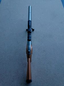 Gun pen