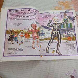 Children&#39;s Fun Book To Learn About HUMAN BODY
