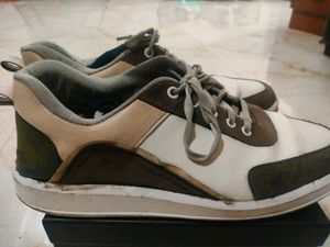 Casual Sneakers